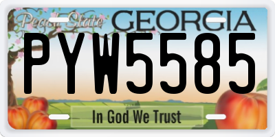 GA license plate PYW5585