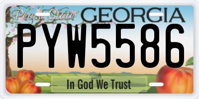 GA license plate PYW5586