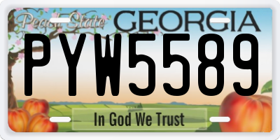 GA license plate PYW5589