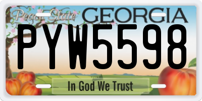 GA license plate PYW5598