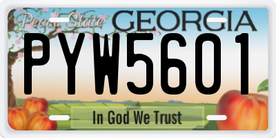 GA license plate PYW5601