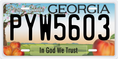 GA license plate PYW5603