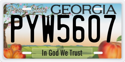 GA license plate PYW5607