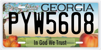 GA license plate PYW5608