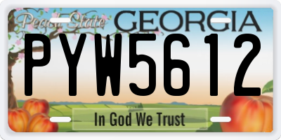GA license plate PYW5612
