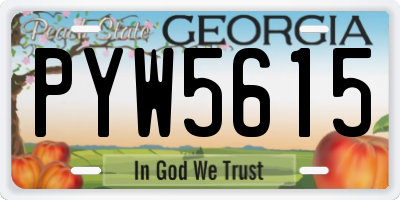 GA license plate PYW5615