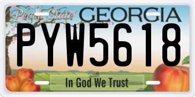 GA license plate PYW5618