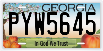 GA license plate PYW5645