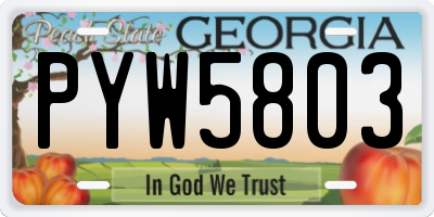 GA license plate PYW5803