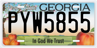 GA license plate PYW5855