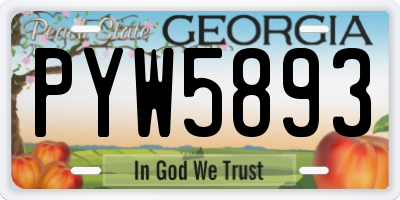 GA license plate PYW5893
