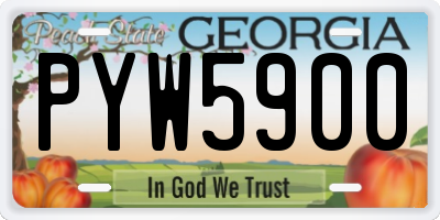 GA license plate PYW5900
