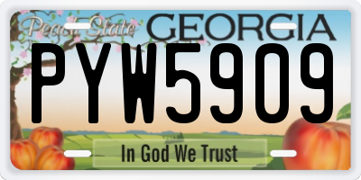 GA license plate PYW5909