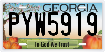 GA license plate PYW5919