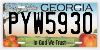 GA license plate PYW5930