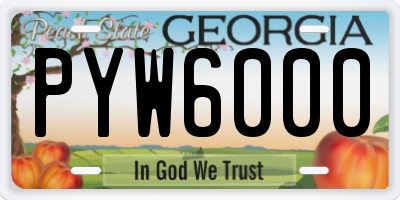 GA license plate PYW6000