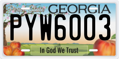 GA license plate PYW6003