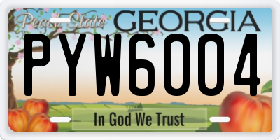 GA license plate PYW6004