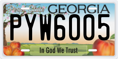 GA license plate PYW6005