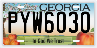 GA license plate PYW6030