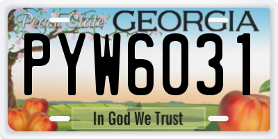 GA license plate PYW6031