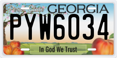 GA license plate PYW6034