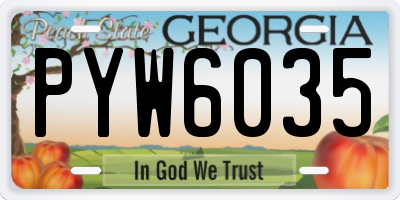 GA license plate PYW6035
