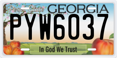 GA license plate PYW6037