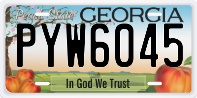 GA license plate PYW6045