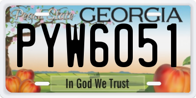 GA license plate PYW6051