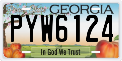 GA license plate PYW6124