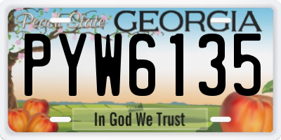GA license plate PYW6135