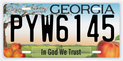 GA license plate PYW6145
