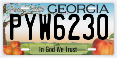 GA license plate PYW6230