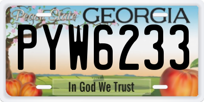 GA license plate PYW6233