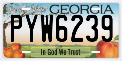GA license plate PYW6239