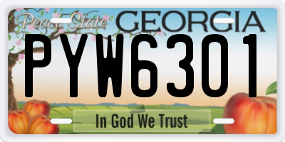 GA license plate PYW6301