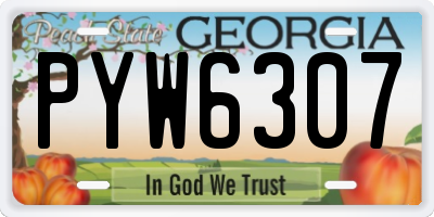 GA license plate PYW6307