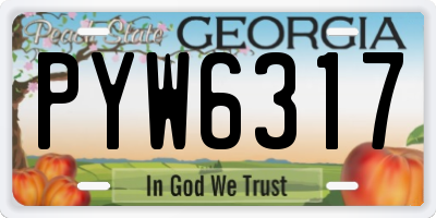 GA license plate PYW6317