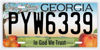 GA license plate PYW6339
