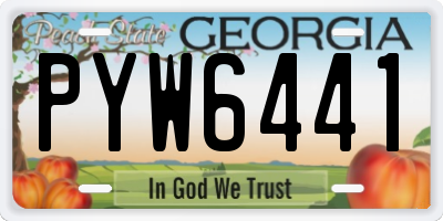GA license plate PYW6441