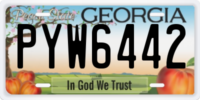 GA license plate PYW6442