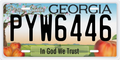 GA license plate PYW6446