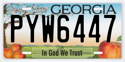 GA license plate PYW6447