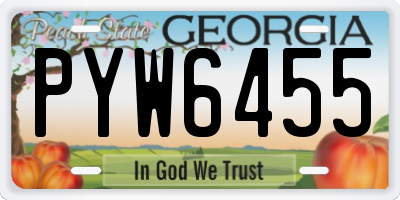 GA license plate PYW6455