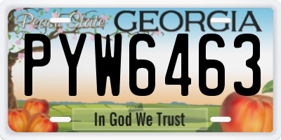 GA license plate PYW6463