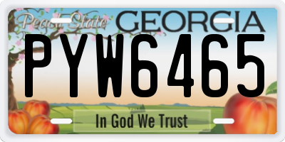 GA license plate PYW6465