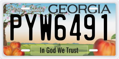 GA license plate PYW6491