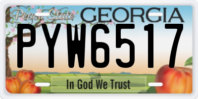 GA license plate PYW6517
