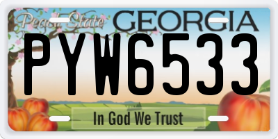 GA license plate PYW6533